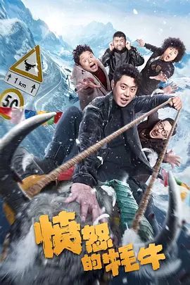 美丽的中年妇女
