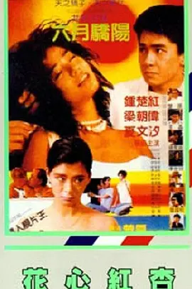 秘密爱2