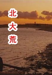伊人国产在线视频
