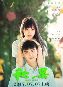 精品一区二区视频在线观看