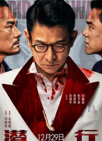 综合在线播放